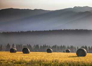 Kootenay Valley morning-4792